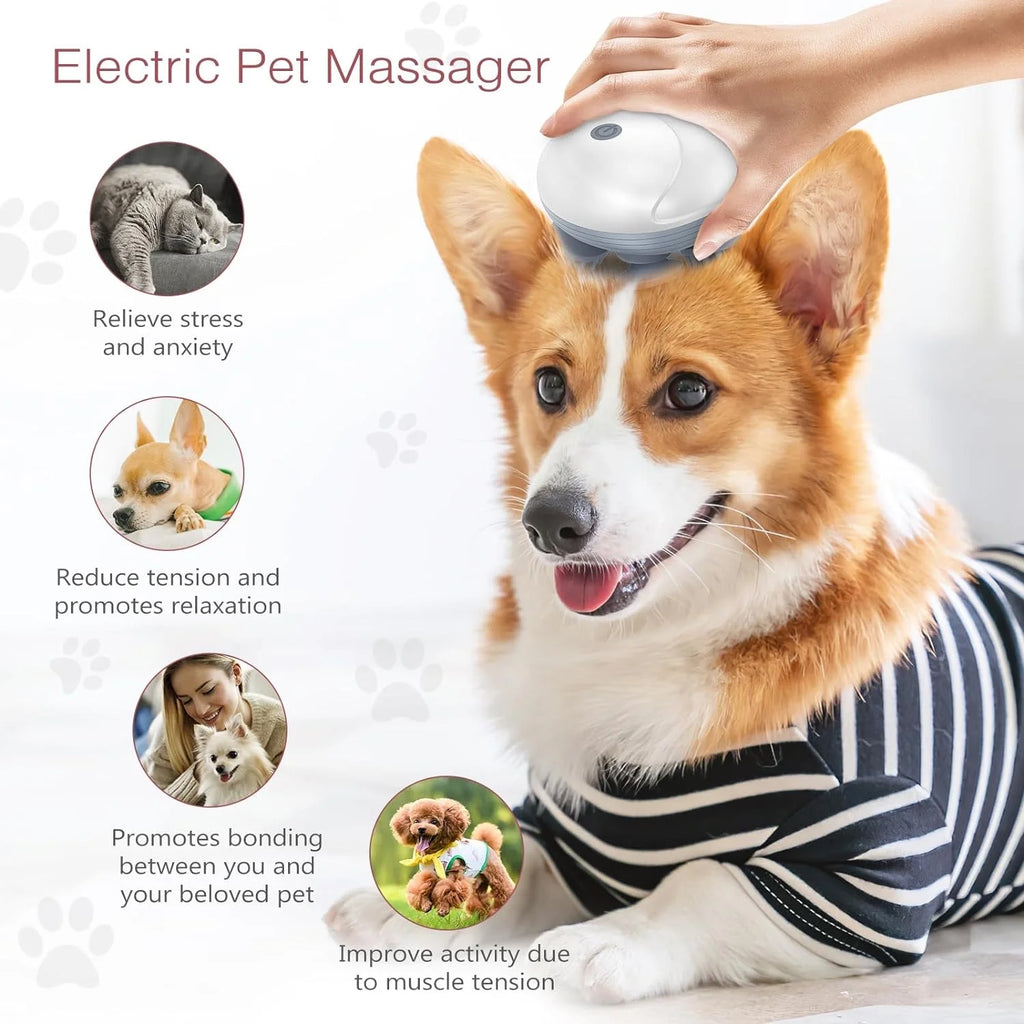 Handheld Pet Massager for Dogs and Cats, Electric Pet Massager with 4 Massage Heads, Portable Waterproof Scalp Massager for Relieving Tight Stiffness Muscles, Promote Bonding